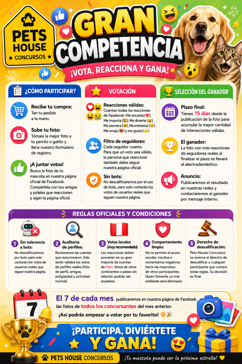 Reglas Oficiales de la Competencia